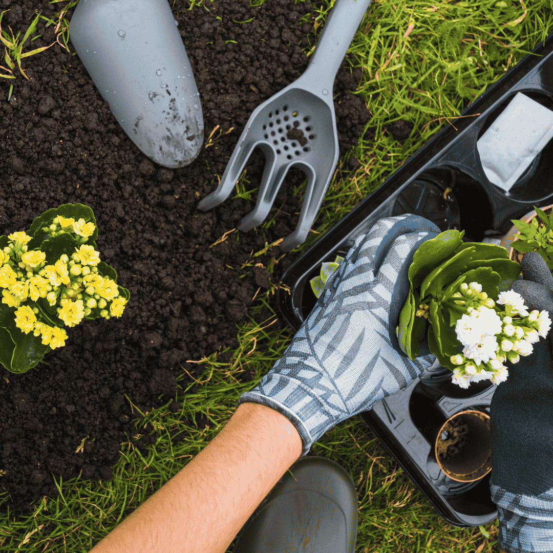 Landscape Maintenance